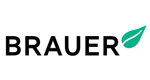 Brauer